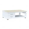 Ban Sofa Cao Cap Bsf96